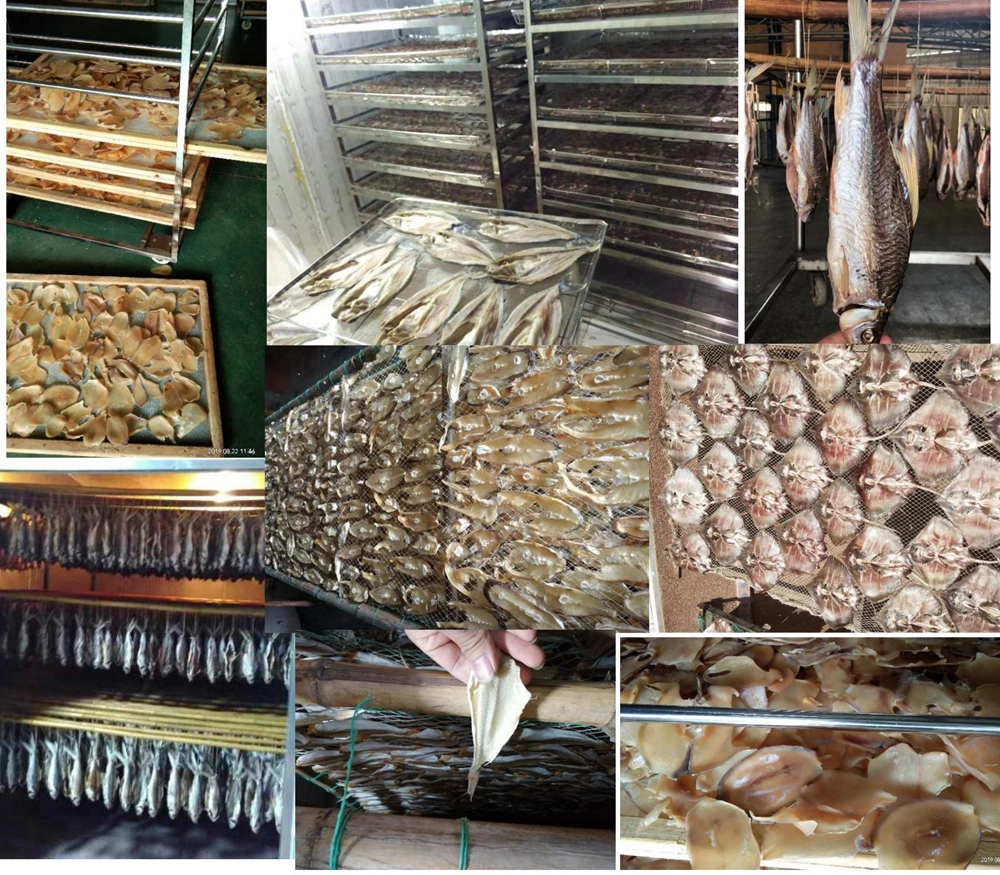 380V Drying Equipment New Condition Seafood Drying Cabinet